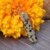 Dalmation Jasper Pendant
