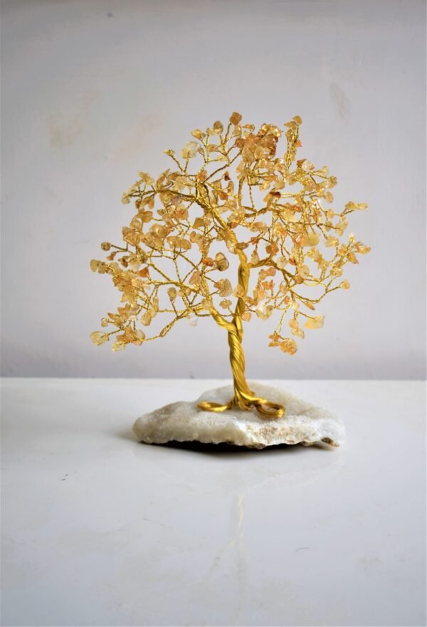 Prosperity & Abundance Citrine Tree on Clear quartz cluster