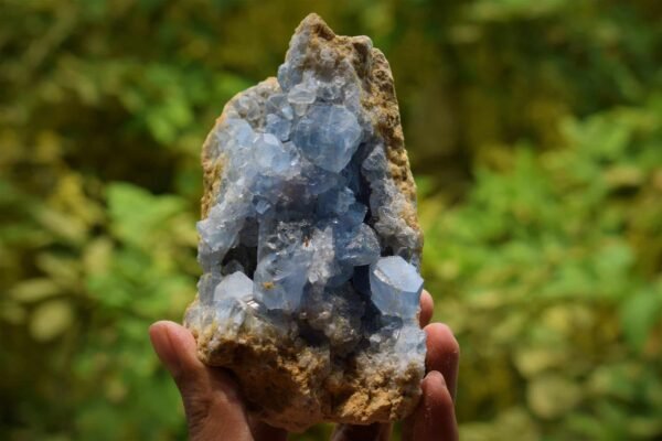 Celestite cluster 6