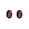 The Garnet Earrings